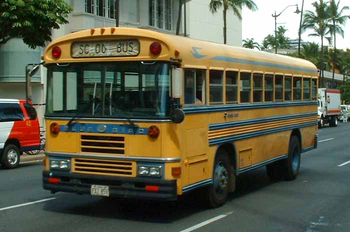 Bluebird school bus FYZ851